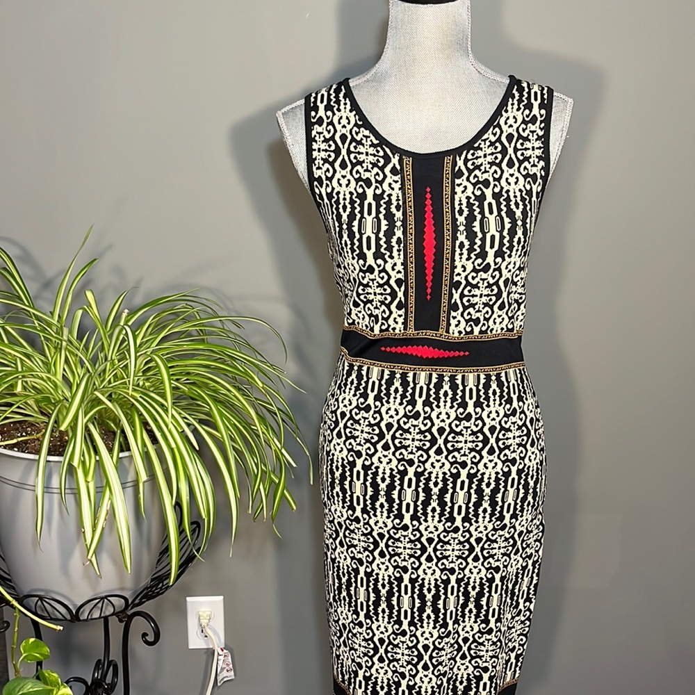 Carmen  Black and tan dress